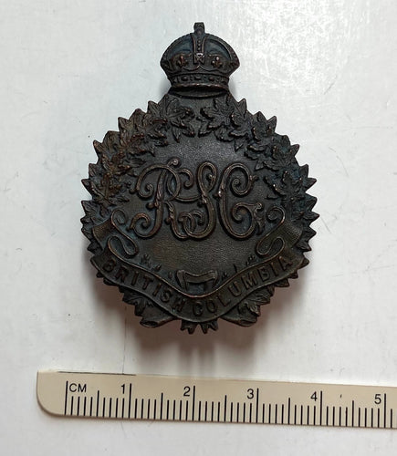 4th Special Service Company, RSG (Railway Service Guards) cap badge