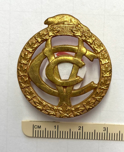 CAVC cap badge