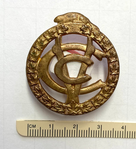 CAVC cap badge