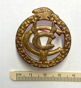 CAVC cap badge