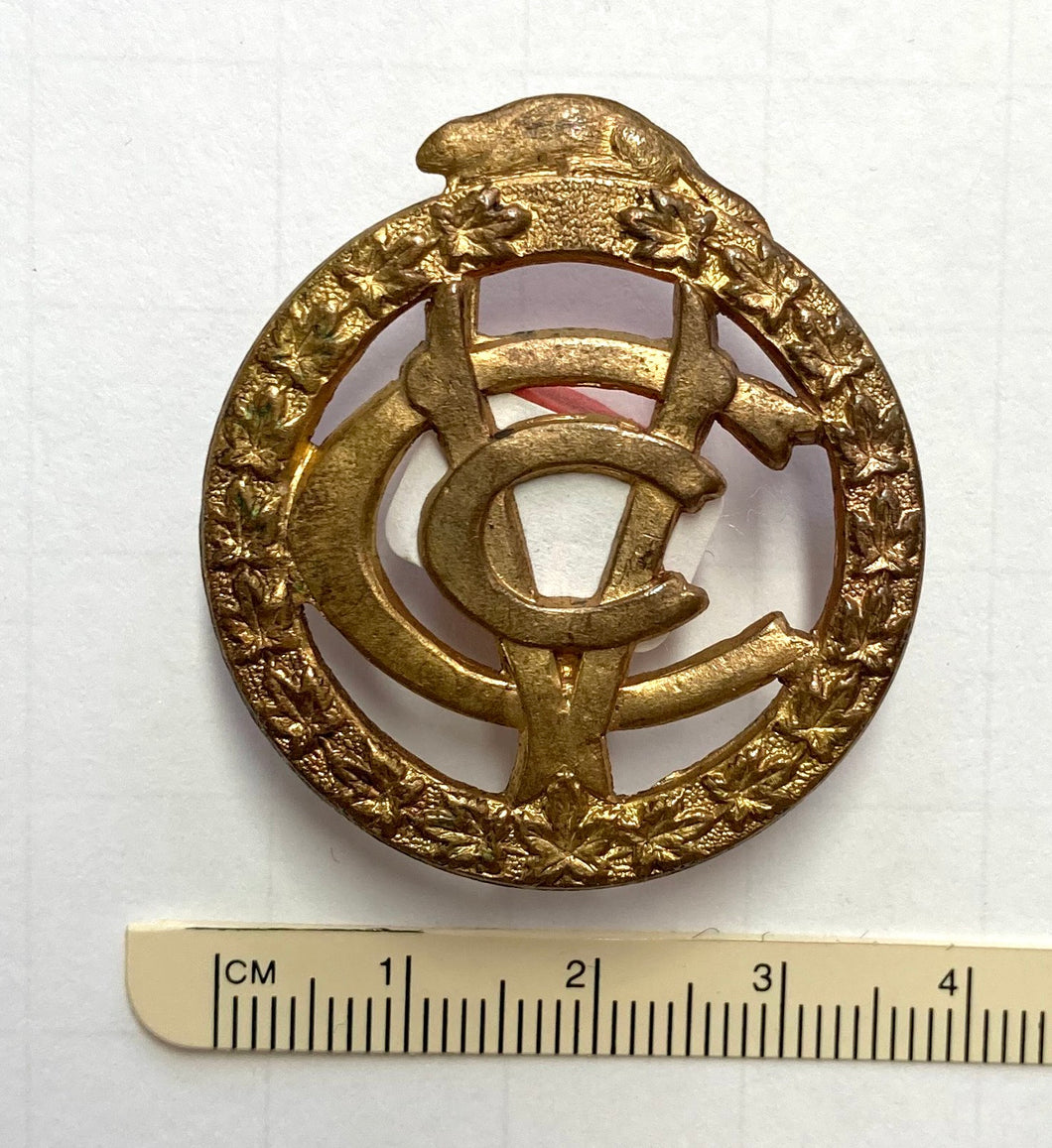 CAVC cap badge