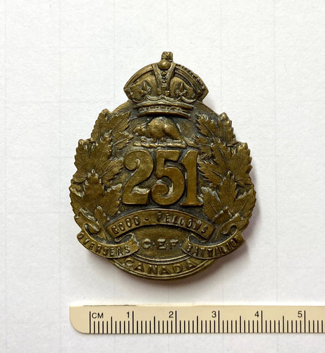 251st Bn (Good Fellows) cap badge