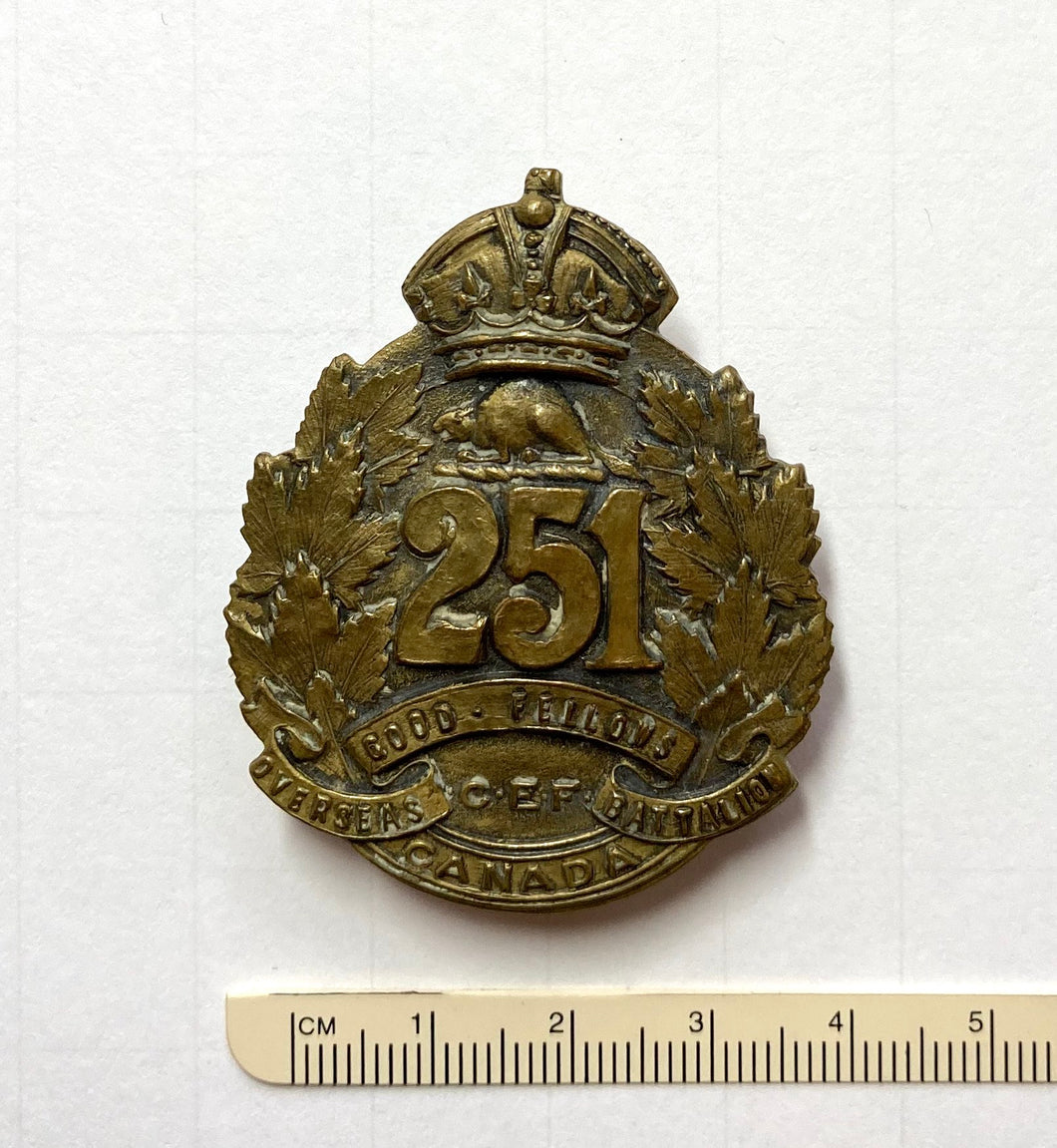 251st Bn (Good Fellows) cap badge