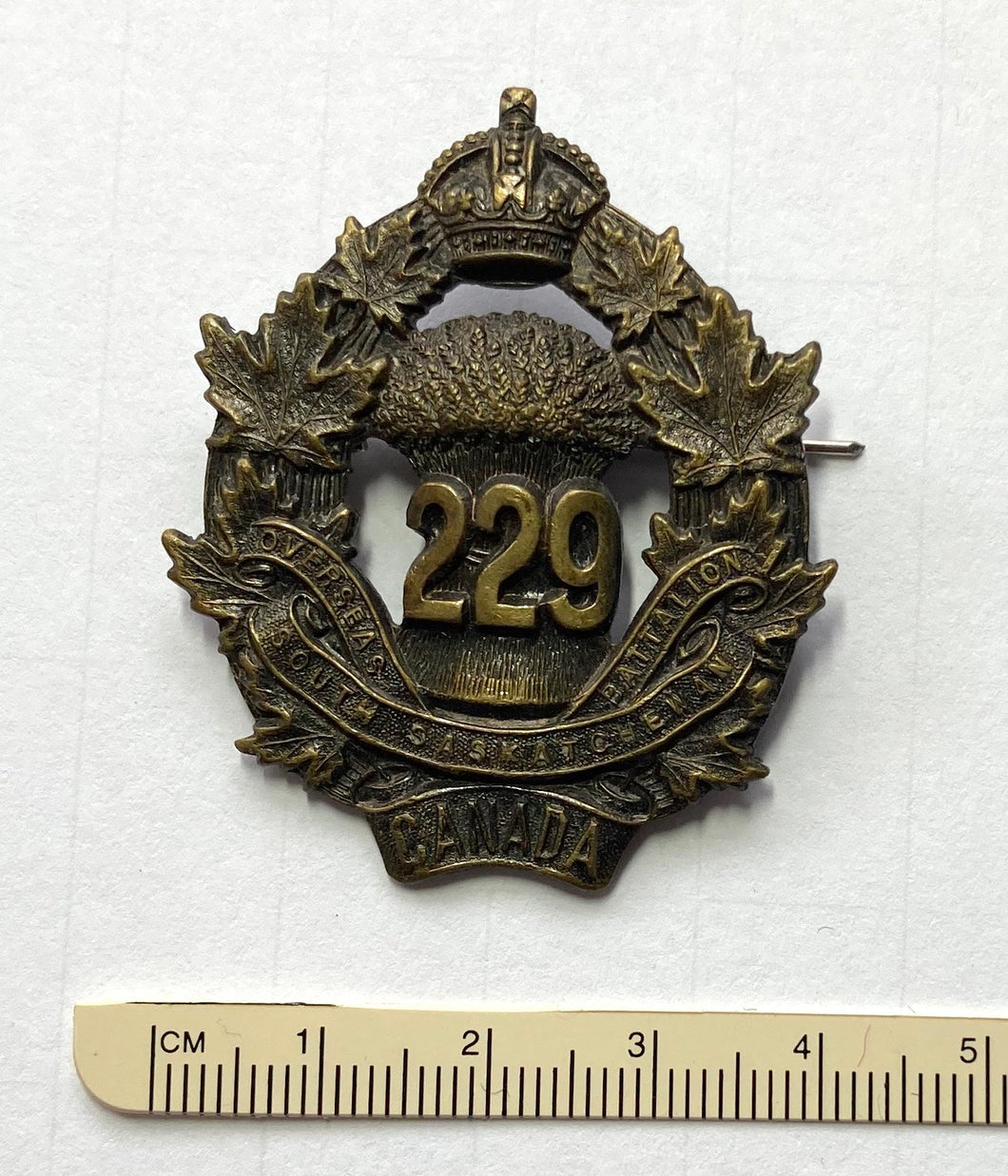 229th Bn (S Sask) cap badge