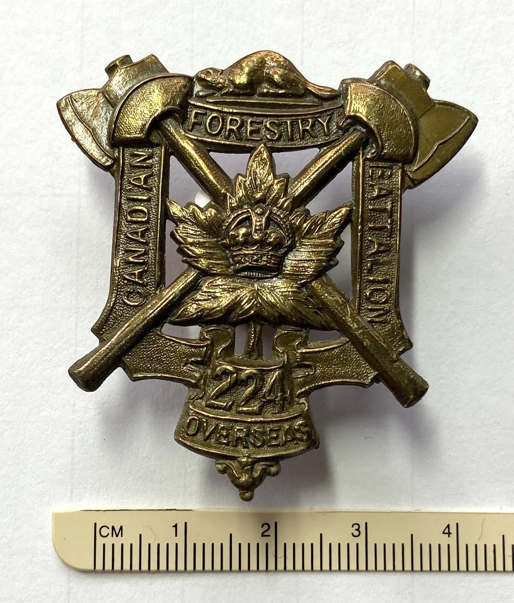 224th Bn (Forestry) cap badge