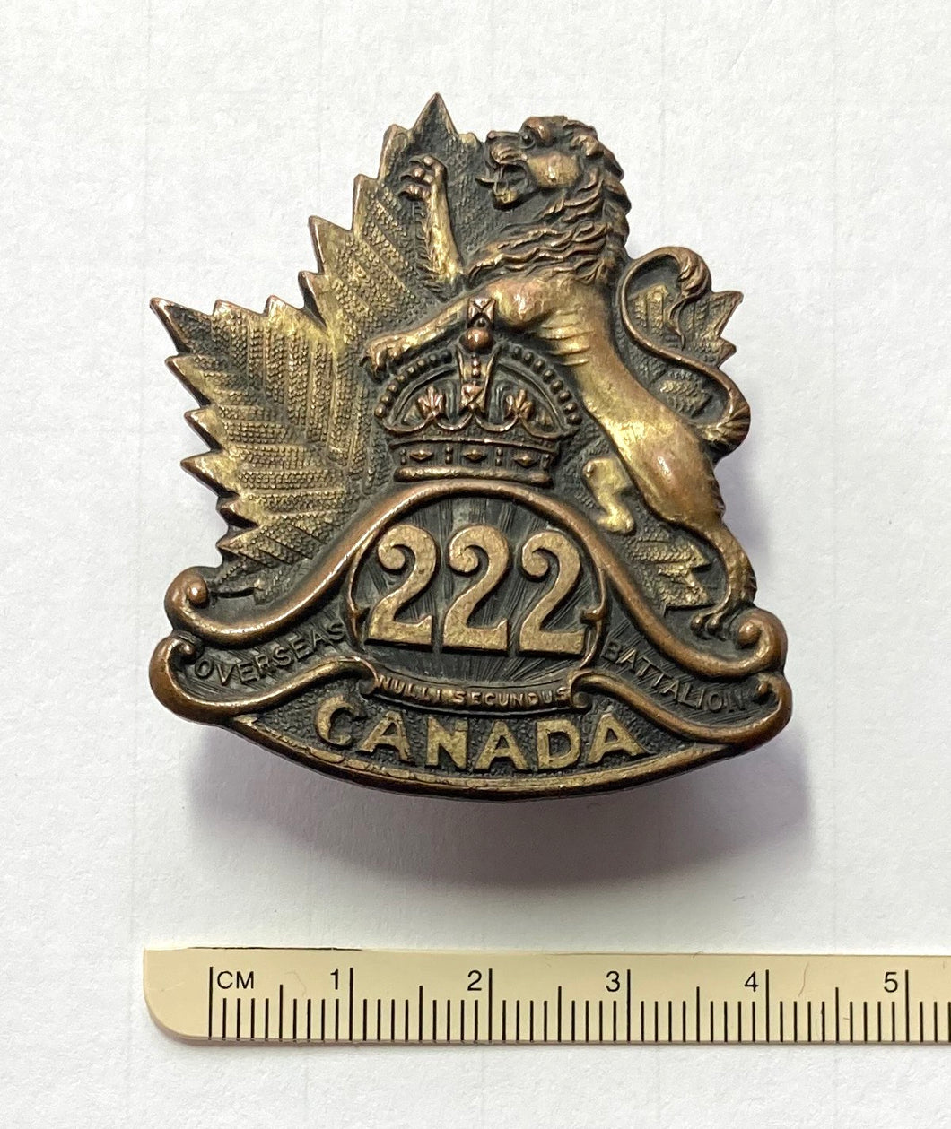 22nd Bn (Wpg) cap badge