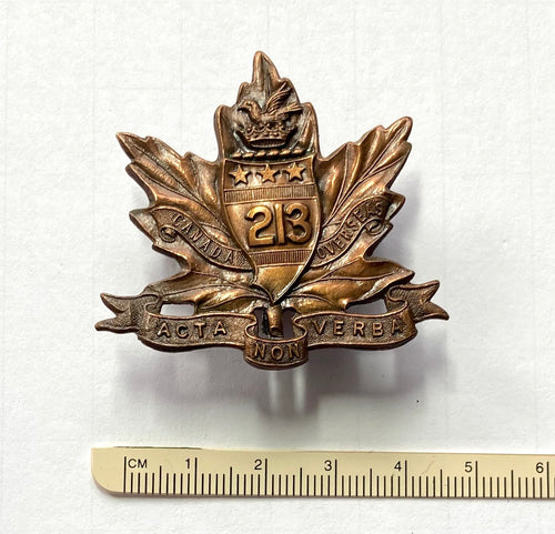 213th Bn (Tor Americans) cap badge
