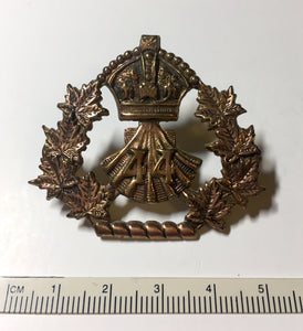 44th Lincoln & Welland Regiment