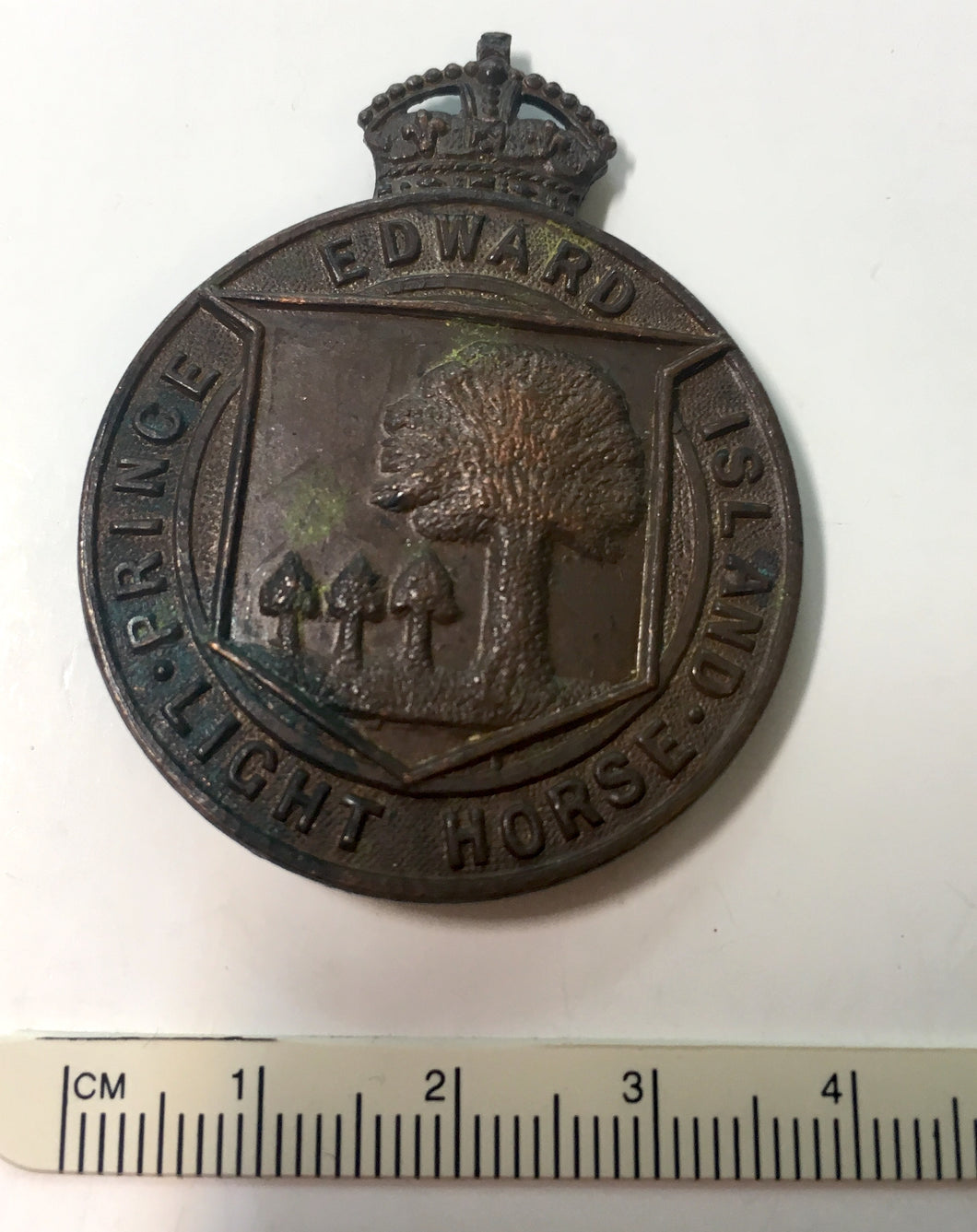 Prince Edward Island Light Horse