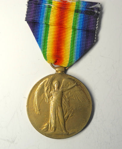 Victory Medal:  Pte. J. Taylor, 10th SAI